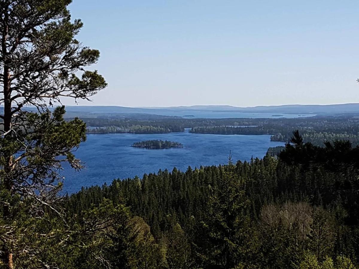 Peaceful And Scandinavian-Style Guesthouse With Scenic Nature And Seaview In High Coast Domsjo Buitenkant foto